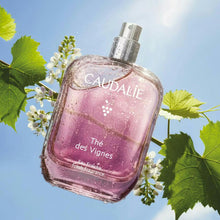 Afbeelding in Gallery-weergave laden, Caudalie Eau Fraiche The des Vignes 50ml (kopie) - Caudalie - Huidproducten.nl
