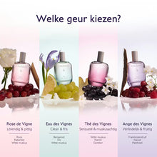 Afbeelding in Gallery-weergave laden, Caudalie Eau fraîche Ange des Vignes 50ml - Caudalie - Huidproducten.nl
