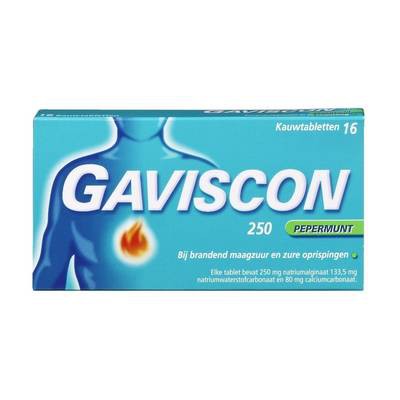 Gaviscon kauwtb pepermunt 250mg (16 stuks)